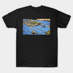 Crocodile River T-Shirt